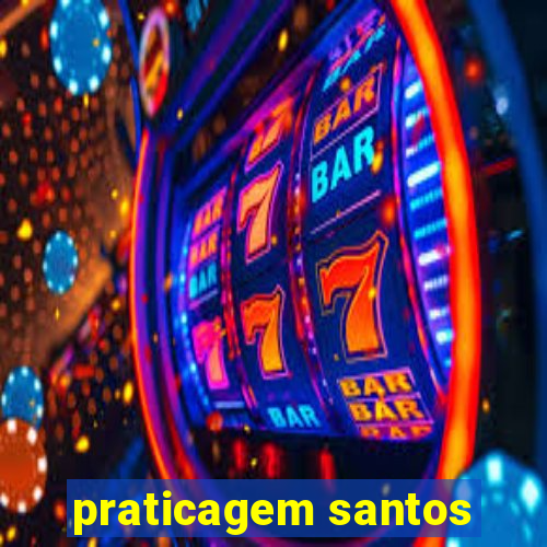 praticagem santos